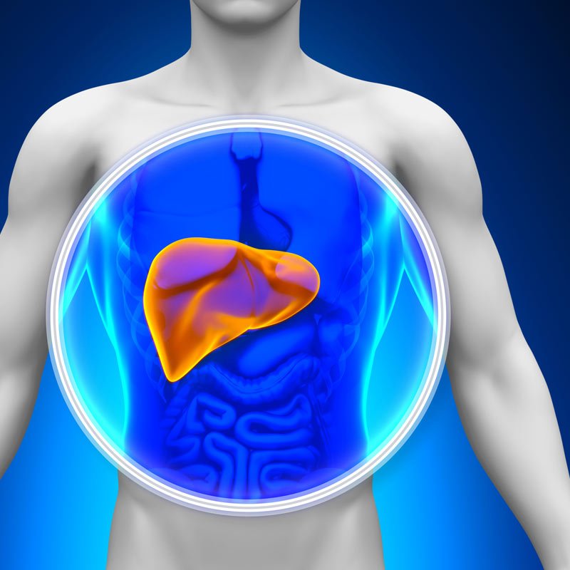 Treatment of Liver Diseases
